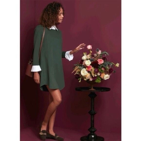 NWT Tuckernuck English Ivy Dakotah Green Long Sleeve Mini Dress Size Small - Picture 3 of 10
